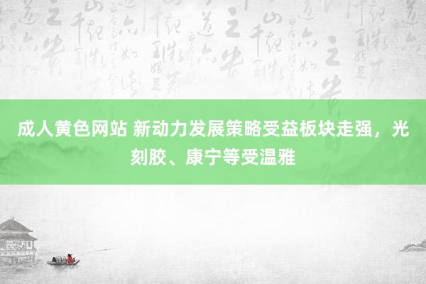 成人黄色网站 新动力发展策略受益板块走强，光刻胶、康宁等受温雅