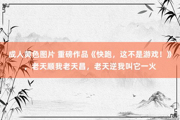 成人黄色图片 重磅作品《快跑，这不是游戏！》，老天顺我老天昌，老天逆我叫它一火