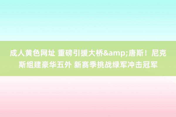 成人黄色网址 重磅引援大桥&唐斯！尼克斯组建豪华五外 新赛季挑战绿军冲击冠军