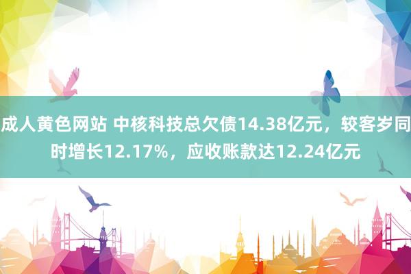 成人黄色网站 中核科技总欠债14.38亿元,较客岁同时增长12.17%,应收账款达12.24亿元