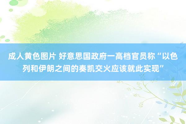 成人黄色图片 好意思国政府一高档官员称“以色列和伊朗之间的奏凯交火应该就此实现”