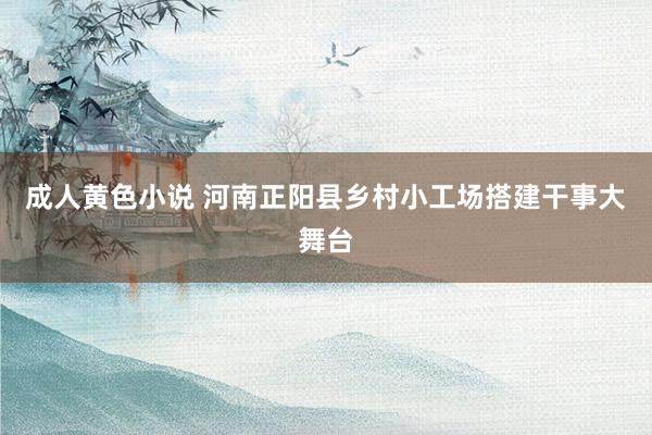 成人黄色小说 河南正阳县乡村小工场搭建干事大舞台