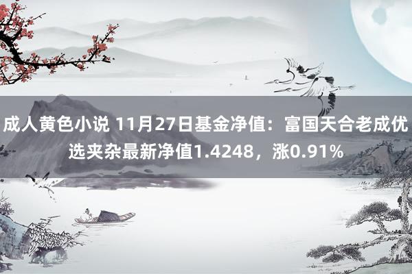 成人黄色小说 11月27日基金净值：富国天合老成优选夹杂最新净值1.4248，涨0.91%