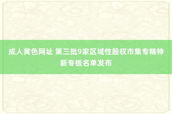成人黄色网址 第三批9家区域性股权市集专精特新专板名单发布