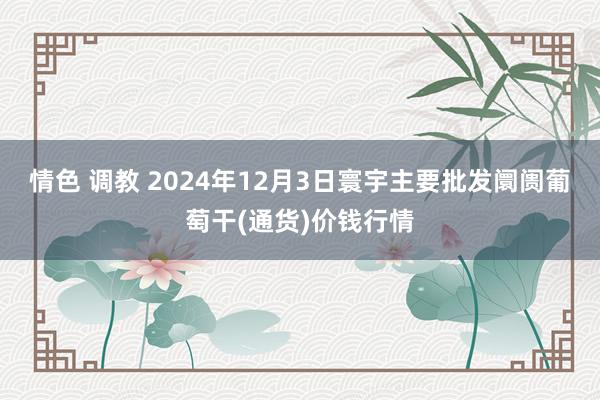 情色 调教 2024年12月3日寰宇主要批发阛阓葡萄干(通货)价钱行情