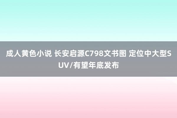 成人黄色小说 长安启源C798文书图 定位中大型SUV/有望年底发布