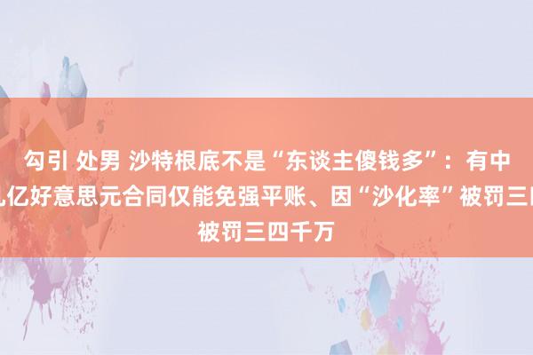 勾引 处男 沙特根底不是“东谈主傻钱多”：有中企十几亿好意思元合同仅能免强平账、因“沙化率”被罚三四千万