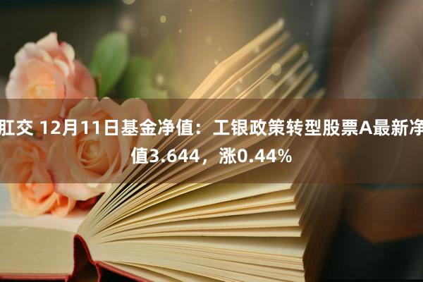 肛交 12月11日基金净值：工银政策转型股票A最新净值3.644，涨0.44%
