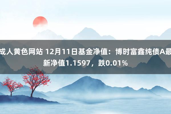 成人黄色网站 12月11日基金净值：博时富鑫纯债A最新净值1.1597，跌0.01%