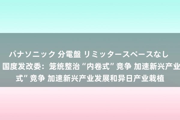 パナソニック 分電盤 リミッタースペースなし 露出・半埋込両用形 国度发改委：笼统整治“内卷式”竞争 加速新兴产业发展和异日产业栽植