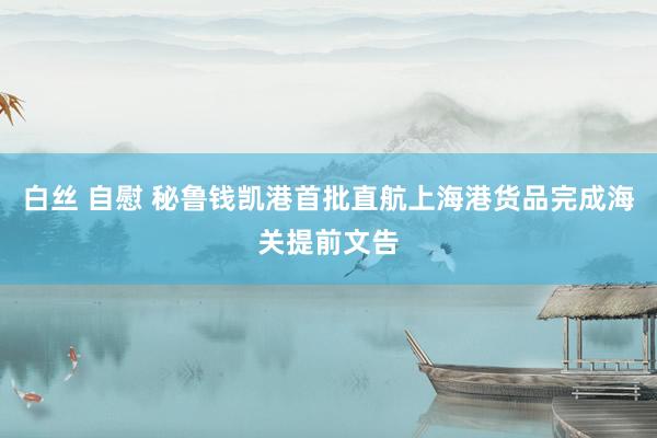 白丝 自慰 秘鲁钱凯港首批直航上海港货品完成海关提前文告