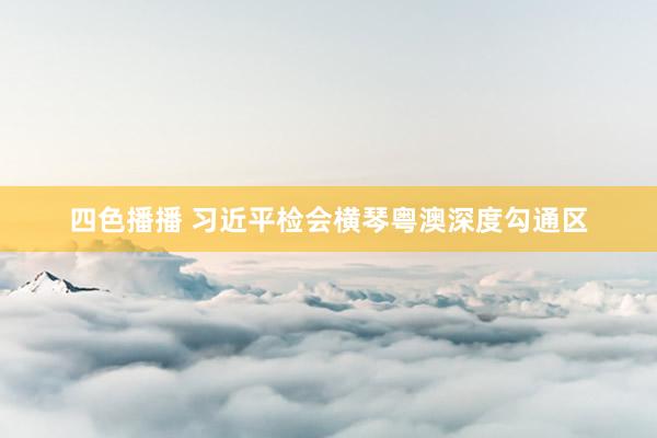四色播播 习近平检会横琴粤澳深度勾通区