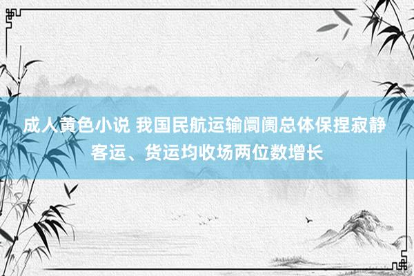 成人黄色小说 我国民航运输阛阓总体保捏寂静 客运、货运均收场两位数增长