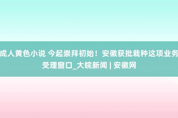 成人黄色小说 今起崇拜初始！安徽获批栽种这项业务受理窗口_大皖新闻 | 安徽网