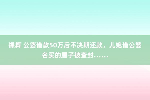 裸舞 公婆借款50万后不决期还款，儿媳借公婆名买的屋子被查封……
