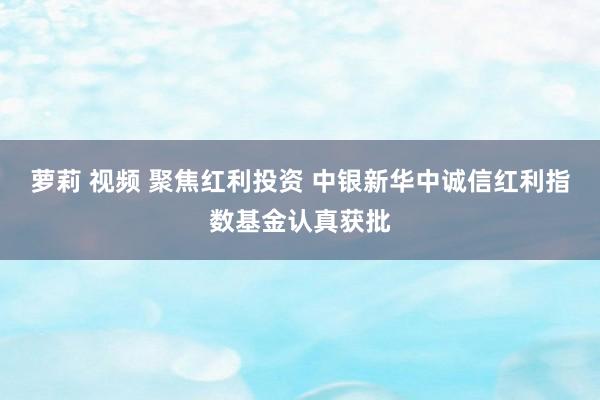 萝莉 视频 聚焦红利投资 中银新华中诚信红利指数基金认真获批