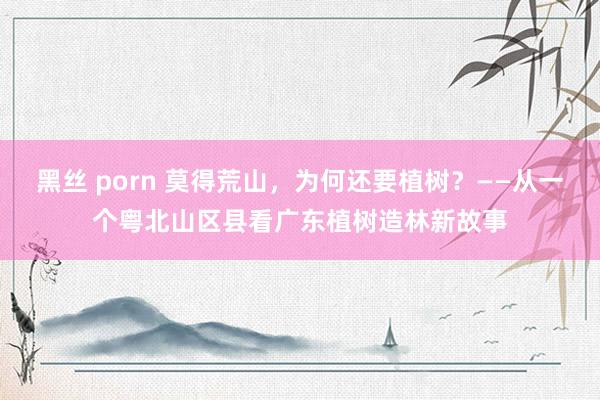 黑丝 porn 莫得荒山，为何还要植树？——从一个粤北山区县看广东植树造林新故事