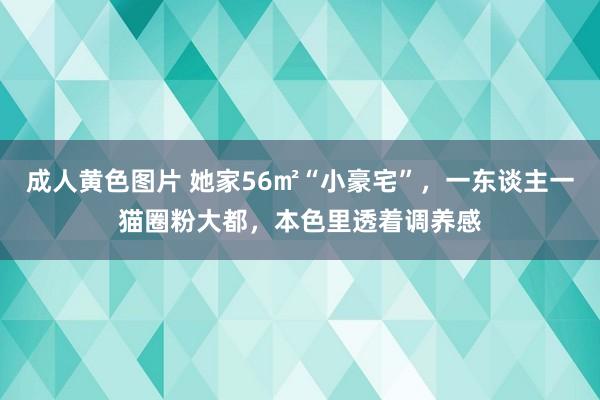 成人黄色图片 她家56㎡“小豪宅”，一东谈主一猫圈粉大都，本色里透着调养感