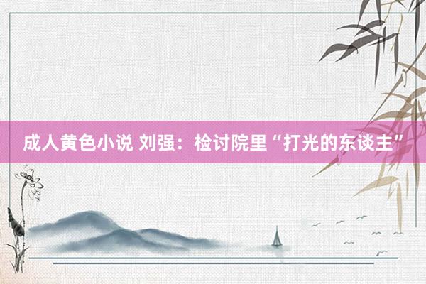 成人黄色小说 刘强：检讨院里“打光的东谈主”
