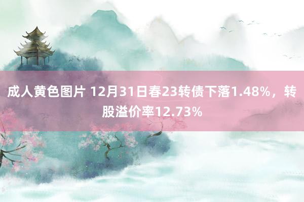 成人黄色图片 12月31日春23转债下落1.48%,转股溢价率12.73%