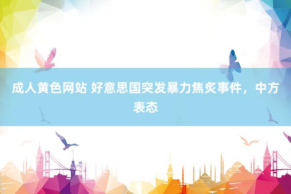成人黄色网站 好意思国突发暴力焦炙事件，中方表态