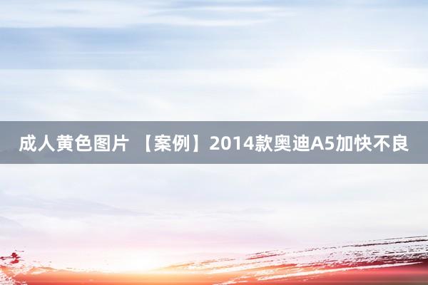 成人黄色图片 【案例】2014款奥迪A5加快不良