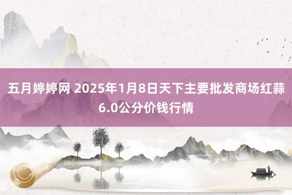五月婷婷网 2025年1月8日天下主要批发商场红蒜6.0公分价钱行情