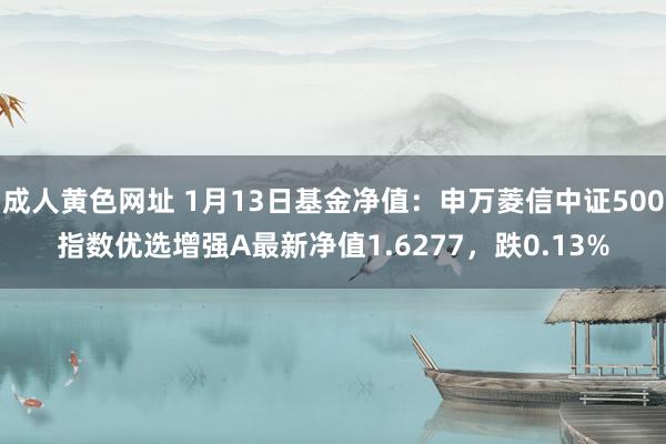 成人黄色网址 1月13日基金净值：申万菱信中证500指数优选增强A最新净值1.6277，跌0.13%