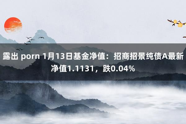 露出 porn 1月13日基金净值：招商招景纯债A最新净值1.1131，跌0.04%