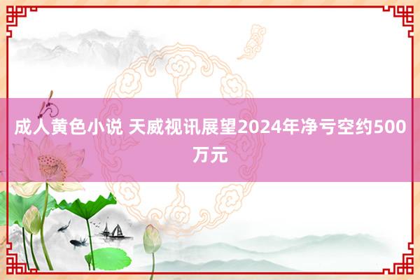 成人黄色小说 天威视讯展望2024年净亏空约500万元