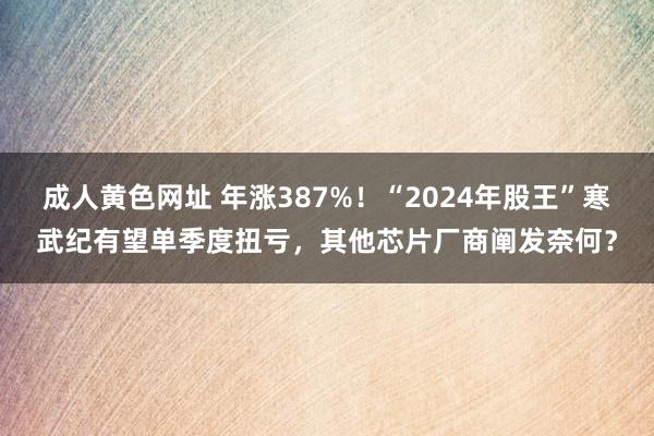 成人黄色网址 年涨387%！“2024年股王”寒武纪有望单季度扭亏，其他芯片厂商阐发奈何？