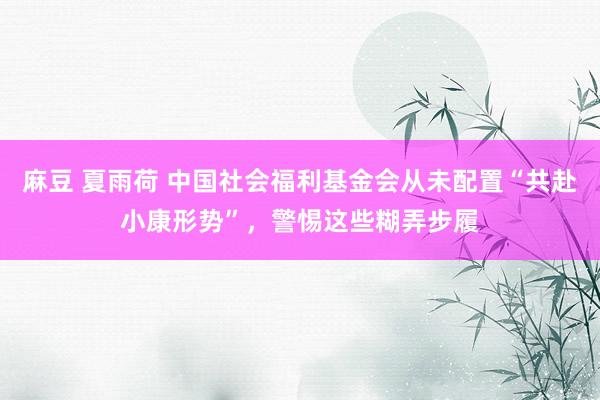 麻豆 夏雨荷 中国社会福利基金会从未配置“共赴小康形势”，警惕这些糊弄步履