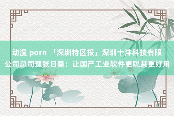 动漫 porn 「深圳特区报」深圳十沣科技有限公司总司理张日葵：让国产工业软件更聪慧更好用