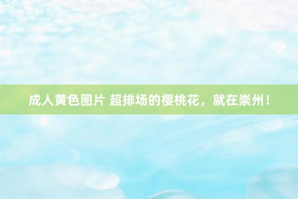 成人黄色图片 超排场的樱桃花，就在崇州！
