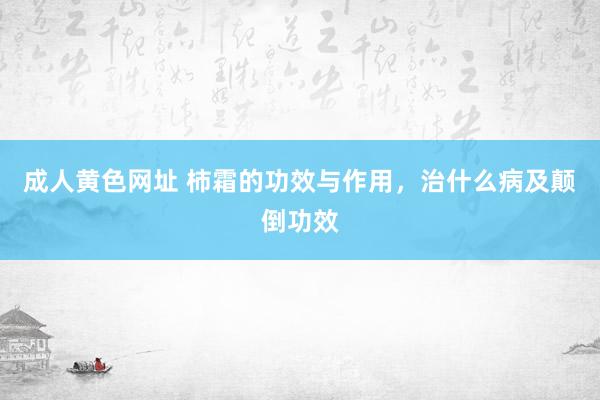 成人黄色网址 柿霜的功效与作用，治什么病及颠倒功效