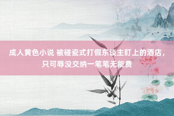 成人黄色小说 被碰瓷式打假东谈主盯上的酒店，只可辱没交纳一笔笔无能费