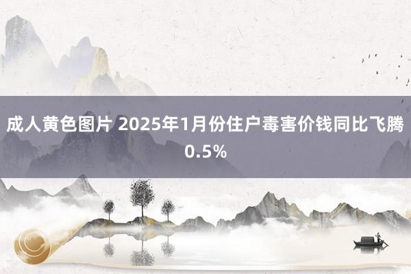 成人黄色图片 2025年1月份住户毒害价钱同比飞腾0.5%