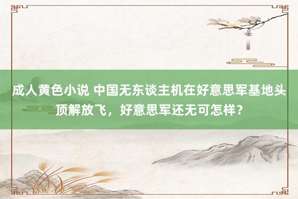 成人黄色小说 中国无东谈主机在好意思军基地头顶解放飞，好意思军还无可怎样？