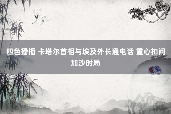 四色播播 卡塔尔首相与埃及外长通电话 重心扣问加沙时局