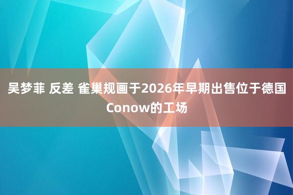 吴梦菲 反差 雀巢规画于2026年早期出售位于德国Conow的工场