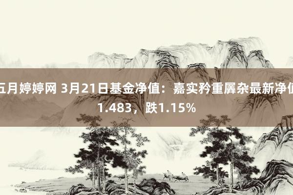 五月婷婷网 3月21日基金净值：嘉实矜重羼杂最新净值1.483，跌1.15%