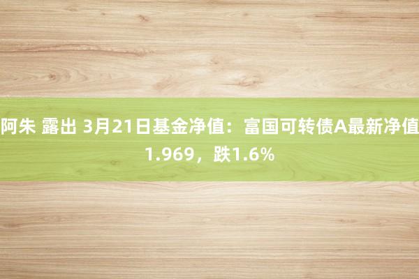 阿朱 露出 3月21日基金净值：富国可转债A最新净值1.969，跌1.6%