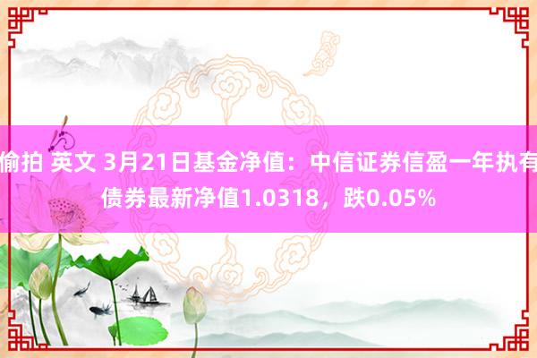偷拍 英文 3月21日基金净值：中信证券信盈一年执有债券最新净值1.0318，跌0.05%
