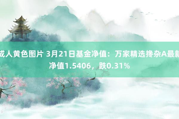 成人黄色图片 3月21日基金净值：万家精选搀杂A最新净值1.5406，跌0.31%