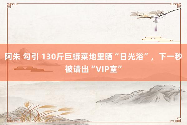 阿朱 勾引 130斤巨蟒菜地里晒“日光浴”，下一秒被请出“VIP室”