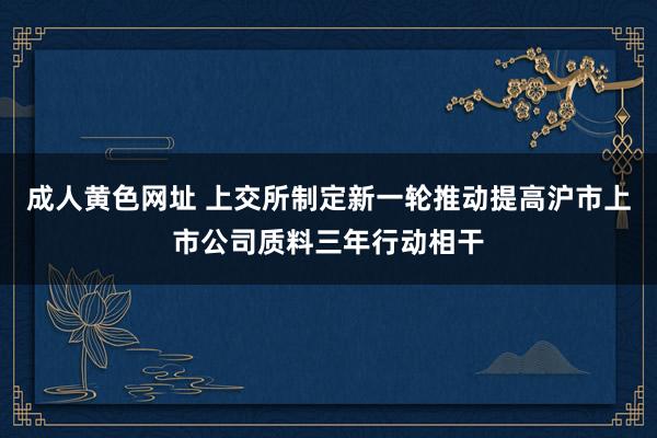 成人黄色网址 上交所制定新一轮推动提高沪市上市公司质料三年行动相干