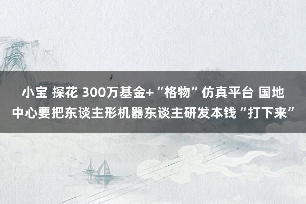 小宝 探花 300万基金+“格物”仿真平台 国地中心要把东谈主形机器东谈主研发本钱“打下来”