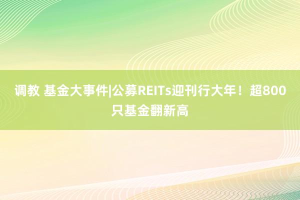 调教 基金大事件|公募REITs迎刊行大年！超800只基金翻新高