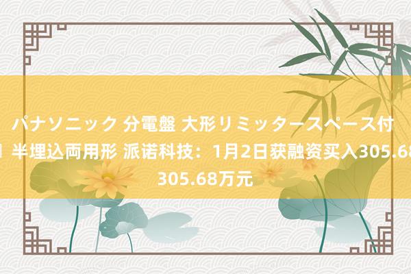 パナソニック 分電盤 大形リミッタースペース付 露出・半埋込両用形 派诺科技：1月2日获融资买入305.68万元