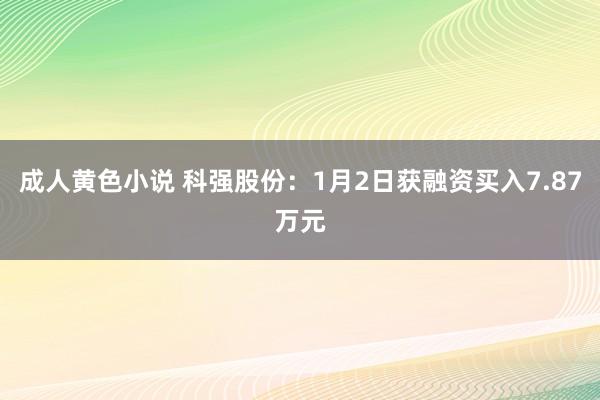 成人黄色小说 科强股份：1月2日获融资买入7.87万元